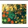 Dream Garden #2 (detail)