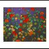 Dream Geraniums
