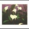 Dream White Lillies